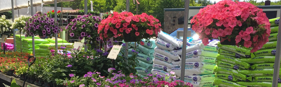 lawn and garden section at the store